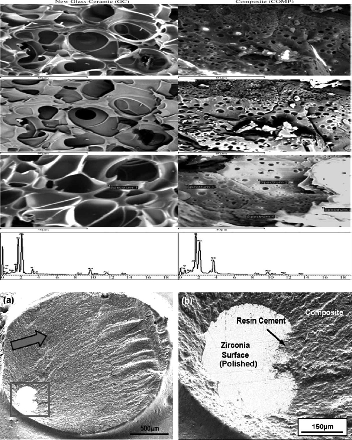 Scanning Electron Microscopy in Oral Research JPDA